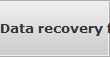 Data recovery for South Salt Lake City data