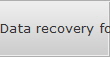 Data recovery for South Salt Lake City data